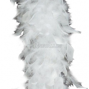 http://www.lemma.lv/11024-thickbox/boa-balts-100g.jpg