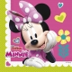 20.gab  2-kārtu  papīra salvetes 33x33cm  MINNIE HAPPY HELPERS DISNEY