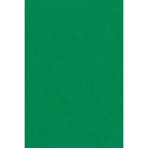 http://www.lemma.lv/13022-thickbox/galdauts-festivals-zala-gramata-137-x-274-cm.jpg