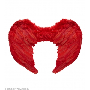 http://www.lemma.lv/7107-14232-thickbox/red-feathered-wings-37x50-cm.jpg
