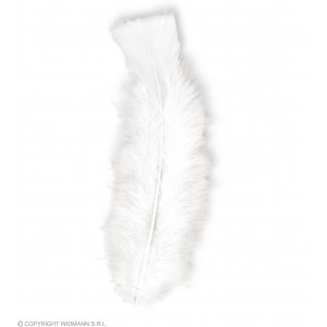 http://www.lemma.lv/7116-14242-thickbox/50-feathers-white-abt-10-cm.jpg