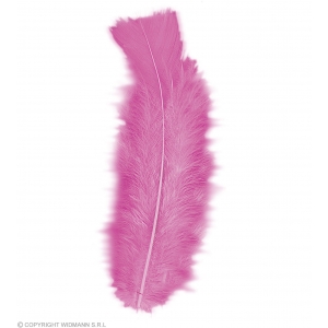 http://www.lemma.lv/7118-14244-thickbox/50-feathers-pink-abt-10-cm.jpg