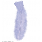 Spalvas violeta  ~10 cm, 50 gab.