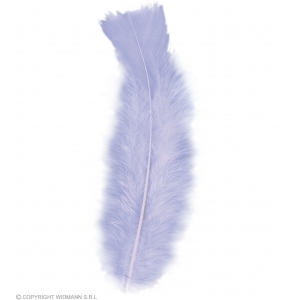 http://www.lemma.lv/7120-14246-thickbox/50-feathers-purple-abt-10-cm.jpg