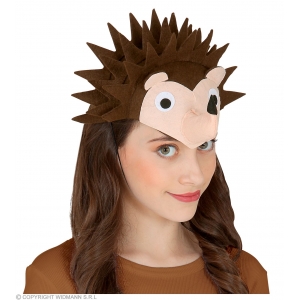 http://www.lemma.lv/7142-15640-thickbox/felt-hedgehog-cap.jpg