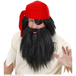 http://www.lemma.lv/7466-15004-thickbox/piratu-melna-paruka-un-barda.jpg