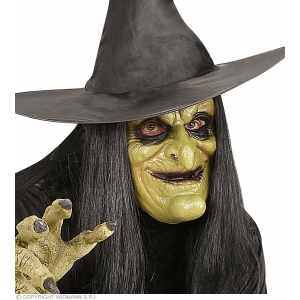http://www.lemma.lv/7805-15542-thickbox/witch-half-face-foam-latex-mask-with-hair-for-children.jpg