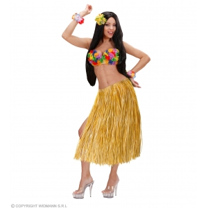 http://www.lemma.lv/7920-15705-thickbox/hawaiian-skirt-straw-color-75-cm.jpg