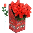 Sarkanā roze, 44 cm