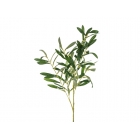 Dekoratīvs olīvkoka zars, 91 cm — svētku dekorēšanai, galda noformēšanai un ballītēm