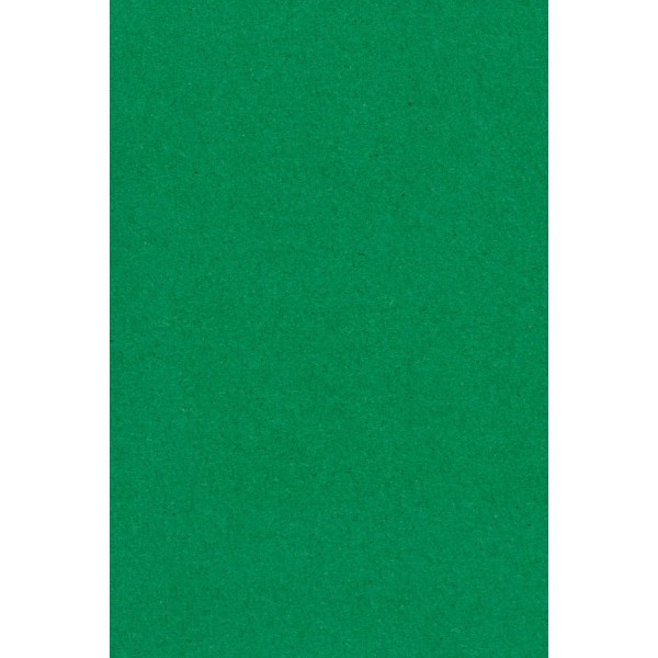 Galdauts Festivals  Zaļā grāmata 137 x 274 cm