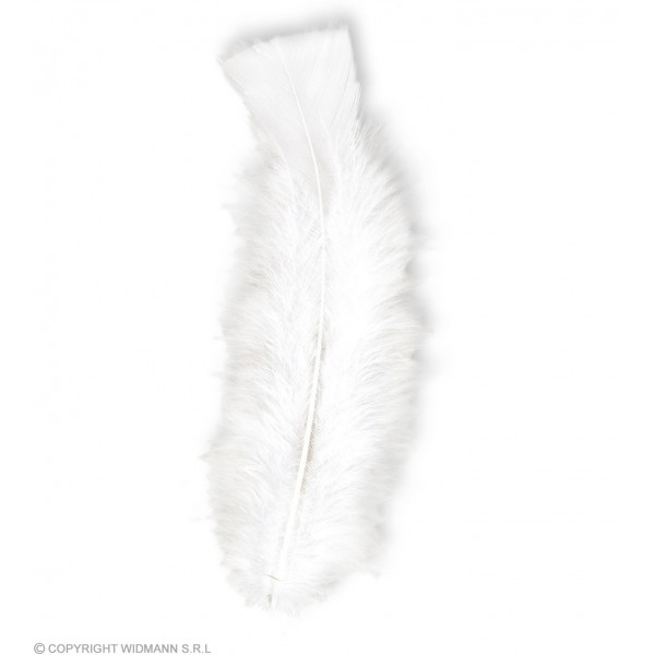 50 FEATHERS white - abt. 10 cm
