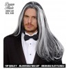 VICTORIAN VAMPIRE DREAM HAIR WIG in color box 