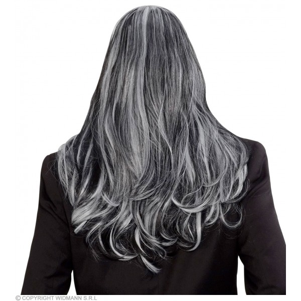 VICTORIAN VAMPIRE DREAM HAIR WIG in color box 