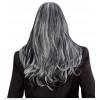 VICTORIAN VAMPIRE DREAM HAIR WIG in color box 