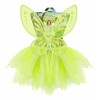 Zaļā “Maģiskā feja” (tutu, spārni, nūjiņa) 
