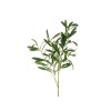 Prod8715 