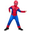 Детский костюм Spider-Man: Brand New Day Classic 
