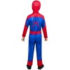 Детский костюм Spider-Man: Brand New Day Classic 