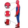 Мужской костюм Spider-Man: Brand New Day Classic 