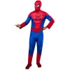 Мужской костюм Spider-Man: Brand New Day Classic 