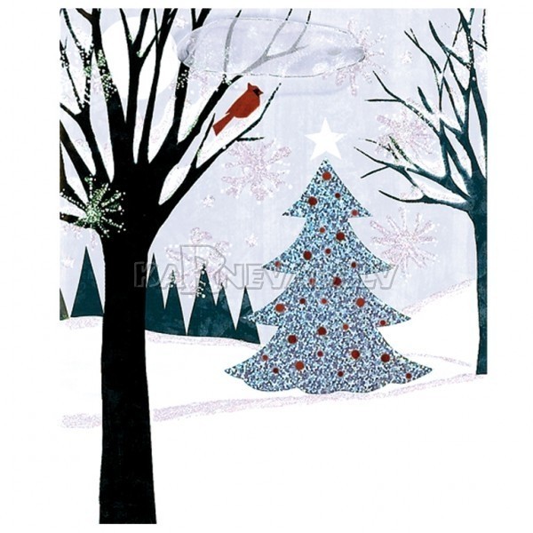 winter-elegance